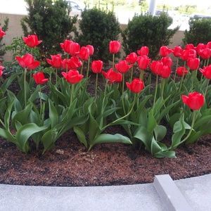 Meet your Posher, Marie